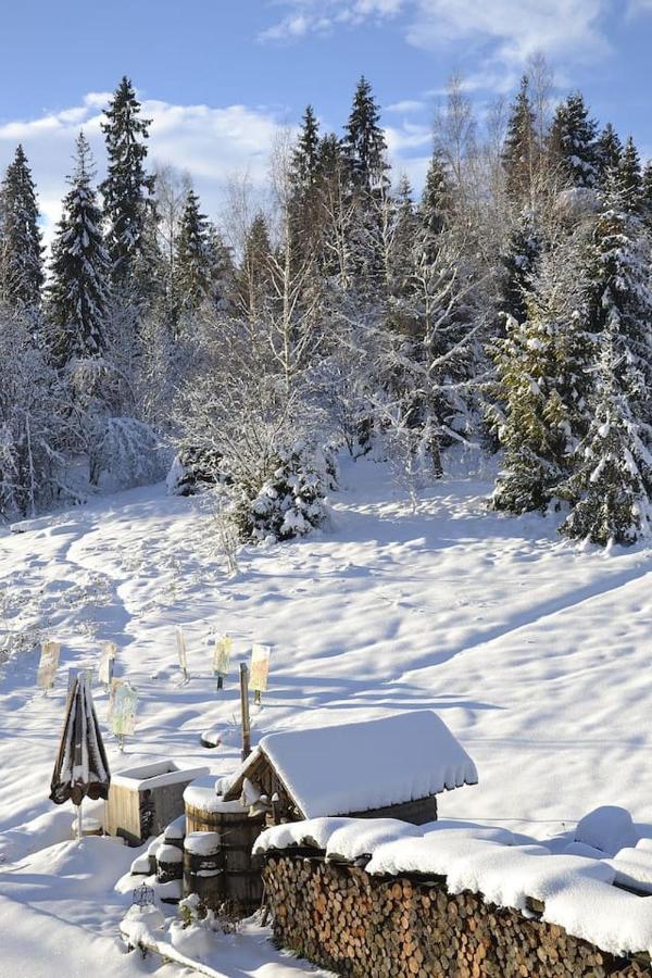 Mountain Chalet Smolenisko Domek W Gorach Новы-Тарг Экстерьер фото