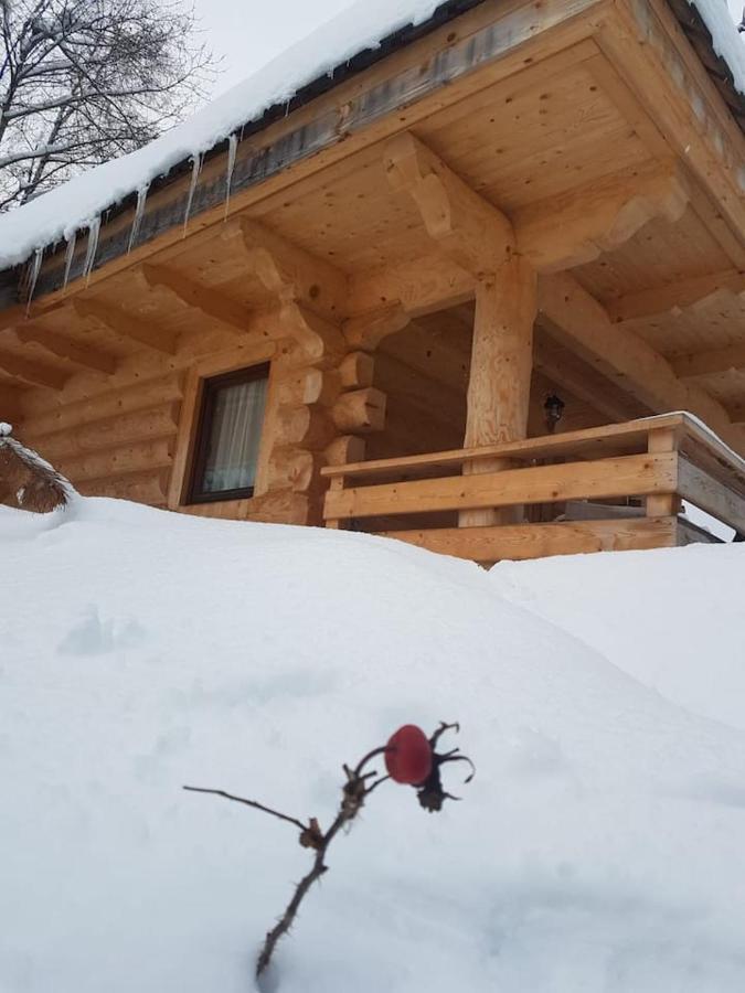 Mountain Chalet Smolenisko Domek W Gorach Новы-Тарг Экстерьер фото